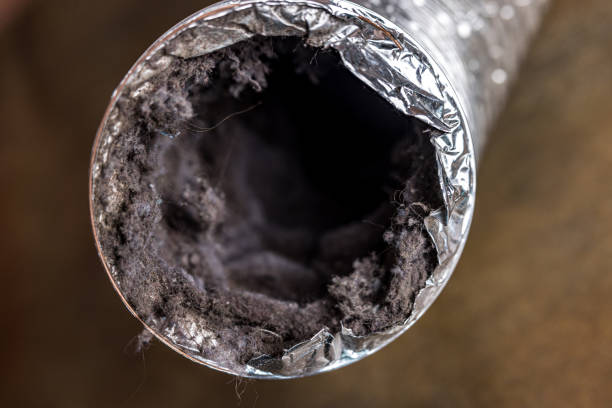 Best Local Air Duct Cleaning Services  in Villa Park, CA